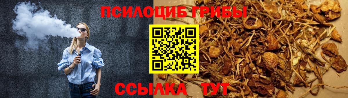 Саяногорск  Псилоцибиновые грибы мицелий  наркотики  Вход с VPN 