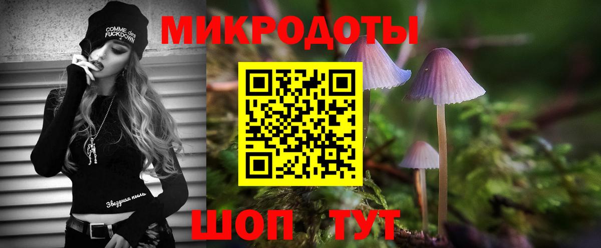 Псилоцибиновые грибы Psilocybine cubensis Саяногорск